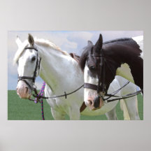 Caballos Posters