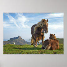 Caballos Impresiones