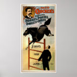 Caballos, potros, burros, y mulas educados poster