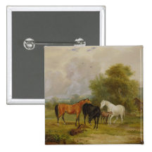 Caballos que pastan: Yeguas y potros en un campo ( Pin