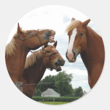 caballos que ríen 1 pegatinas redondas