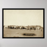 Caballos Roped por los vaqueros SD 1887 Poster