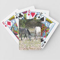 Caballos salvajes del desierto de Sonoran cartas de juego