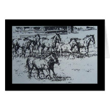 caballos salvajes felicitaciones