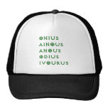 Caballos salvajes Onius, Ainous, Odius, Ivourus de Gorros Bordados