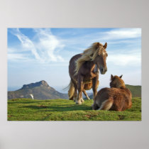 Caballos salvajes posters