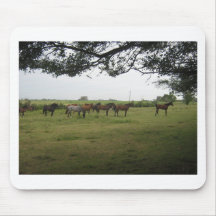 caballos tapetes de ratón