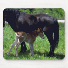 Caballos Tapetes De Ratón