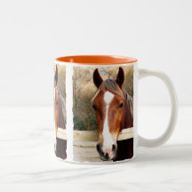 CABALLOS TAZA