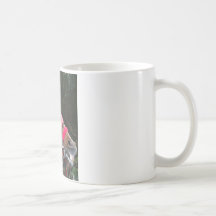 Caballos Taza De Café