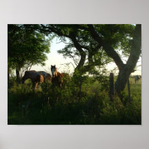 caballos y árboles poster