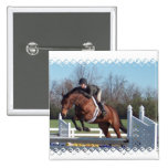 Caballos y Pin de salto del cuadrado de la demostr