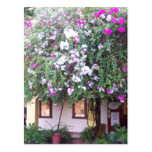 Cabaña Postales