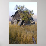Cabaña vieja de los mineros poster