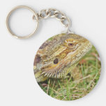 Cabeza barbuda del dragón llaveros personalizados