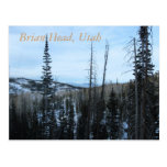 Cabeza de Brian, Utah Tarjeta Postal