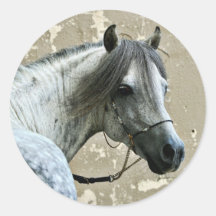 Cabeza de caballo gris etiquetas redondas