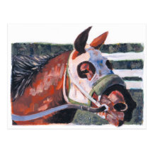 Cabeza de caballo tarjeta postal