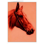 Cabeza de caballo tarjeton