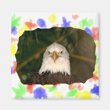 Cabeza de Eagle calvo en diseño de la fotografía Imán De Frigorifico