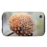 Cabeza de la semilla - bálsamo de abeja tough iPhone 3 funda