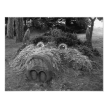 Cabeza de los cerdos, parque del Bute, Cardiff Foto
