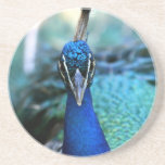 Cabeza del azul de pavo real en imagen posavasos manualidades