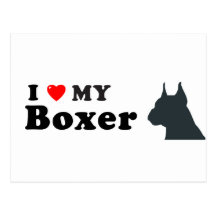 Cabeza del boxeador postales
