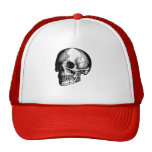 cabeza del cráneo gorro