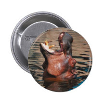 Cabeza del hipopótamo pins