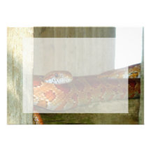 cabeza lateral de la serpiente de rata roja comunicado personalizado