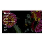 Cabezas de flor amarillas y rosadas preciosas tarjeta de visita