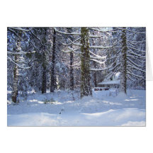 Cabina en la tarjeta de la nieve