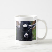Cabra del bebé tazas