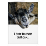 Cabra Nosy que mira para arriba - cumpleaños Tarjetas