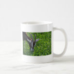 Cabra Taza De Café
