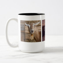 Cabras Tazas De Café