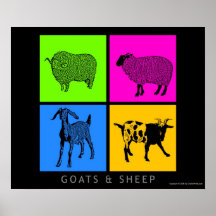 Cabras y ovejas coloridas poster