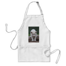 Cachorro de león blanco del bebé delantales