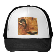 Cachorro de león con la reflexión del arco iris en gorra