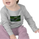 Cachorro Oso-de un año del grisáceo Camisetas