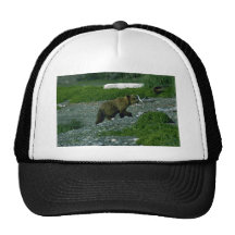 Cachorro Oso-de un año del grisáceo Gorros