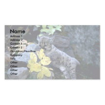 Cachorro viejo de la semana del Puma-seis Plantillas De Tarjetas Personales