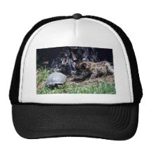 Cachorro y tortuga del puma gorros bordados