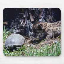 Cachorro y tortuga del puma tapetes de ratón