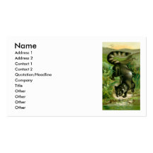 Cacomixle Plantillas De Tarjetas Personales