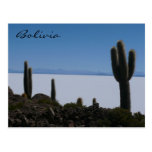 cactus Bolivia del uyuni Tarjeta Postal