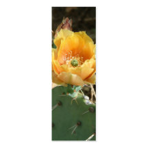 Cactus brillante plantilla de tarjeta personal