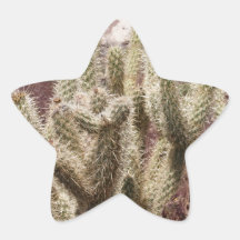 Cactus Calcomanía Forma De Estrellae