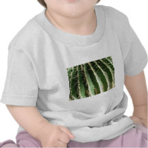 Cactus Camisetas